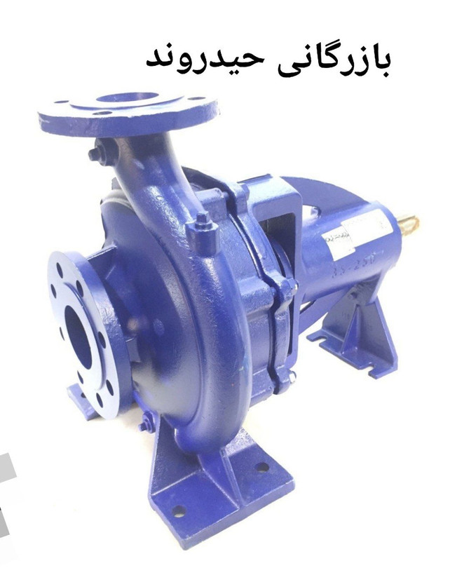 pomp-250-65-iran-pump-industrial-heavy.jpg